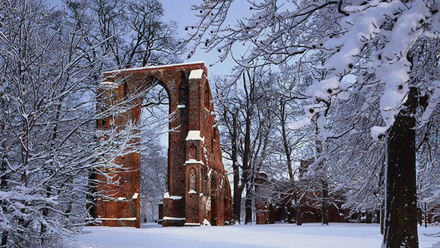Klosterruine Eldena im Winter
