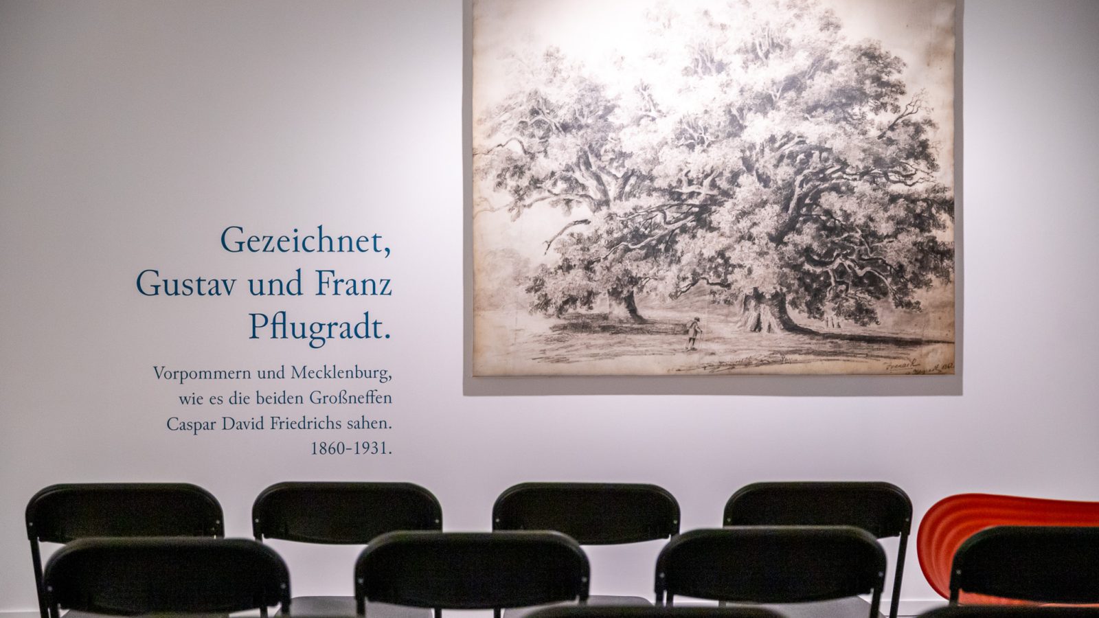 241213_shk_pflugradt_(c)_andre_gschweng_01