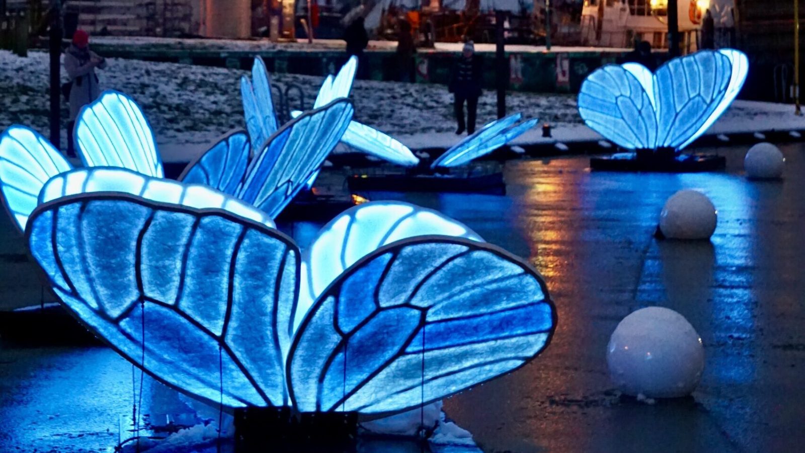 Butterfly_Effect_6@Koch